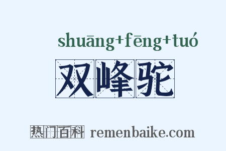 双峰驼是什么意思的图片